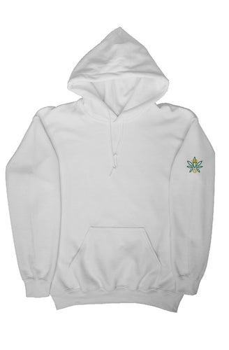 plain hoodie w/ embroided logo on sleeve
